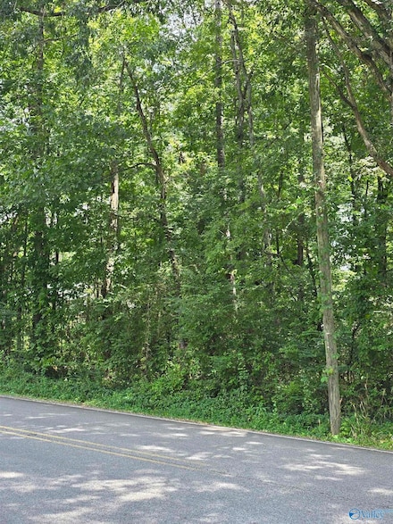 .46 Acres 10th St NW, Arab, AL 35016