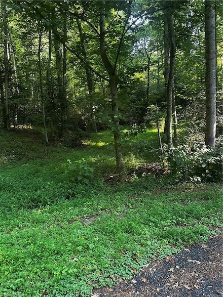 000 Walker Ln, Millers Creek, NC 28651