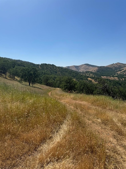 0 Apn 153-290-03 Unit 630102, Tollhouse, CA 93667