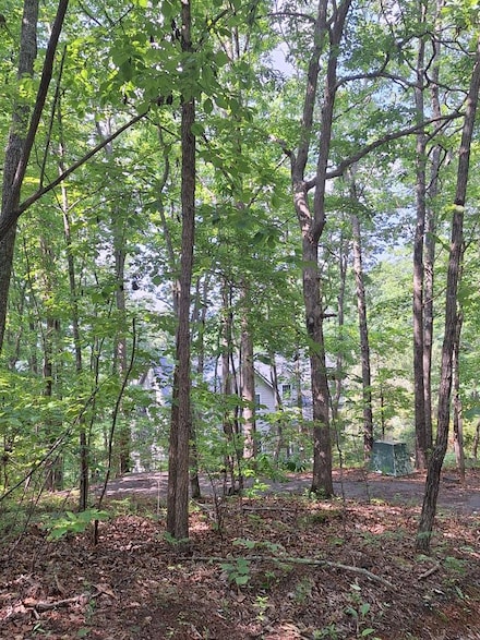 0 Sunrock Mountain Trc, Blue Ridge, GA 30513