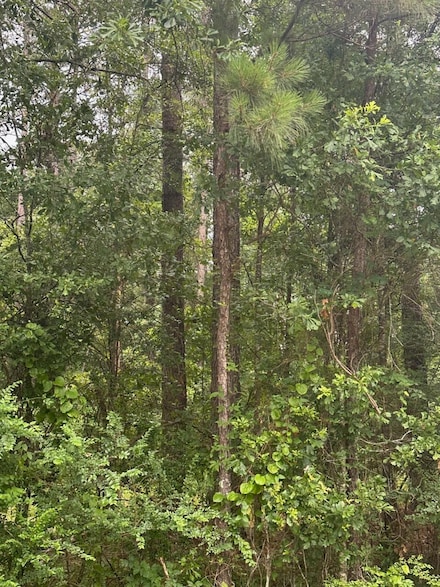 00 Glade Paulding Rd, Laurel, MS 39443