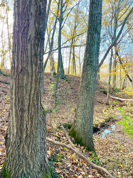 872 Mullen Rd, Moscow, OH 45153