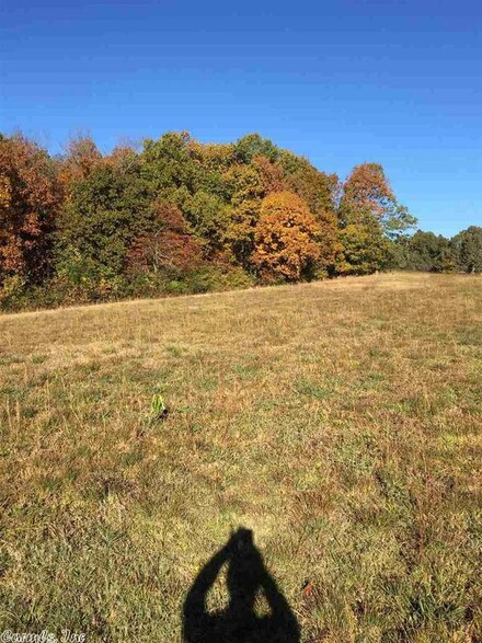 33.8 Acres Cr 318, Bono, AR 72416