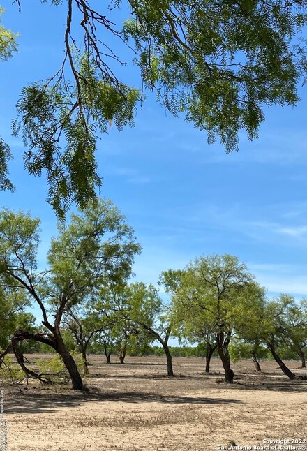 3765 Brown Rd, Poteet, TX 78065