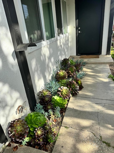 7379 Chapman Place Unit B, Goleta, CA 93117