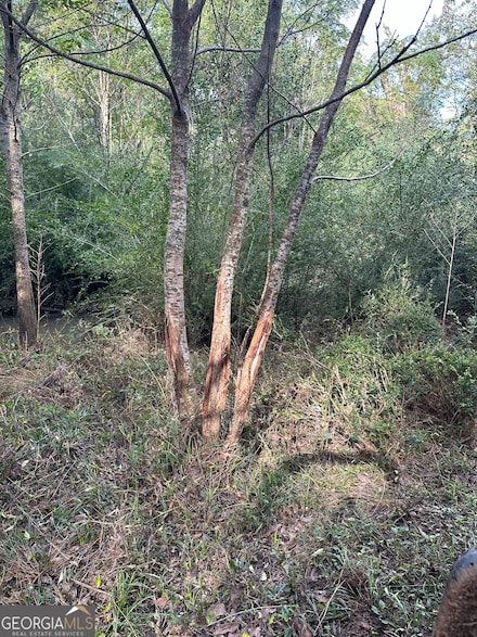 0 Seven Islands Rd Unit 10535511, Madison, GA 30650