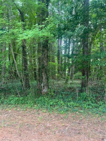 .46ac Severn Dr, Hayes, VA 23072