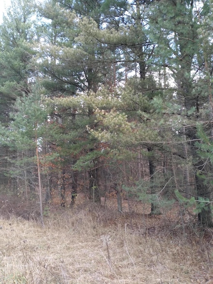 V/L Murner Rd, Gaylord, MI 49735