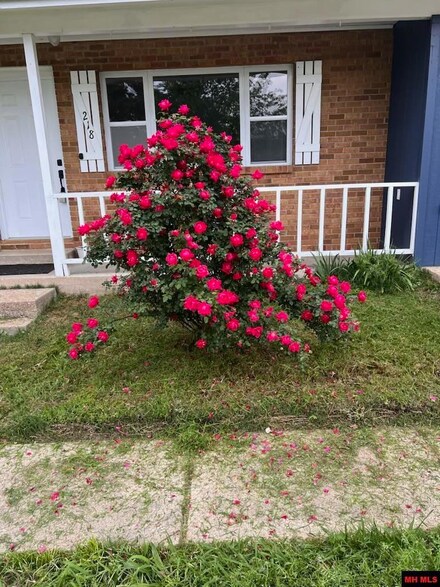 218 Cornell St, Gassville, AR 72635