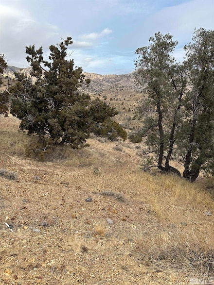 00432147 Apn 004-321-47 Throughway, Dayton, NV 89403