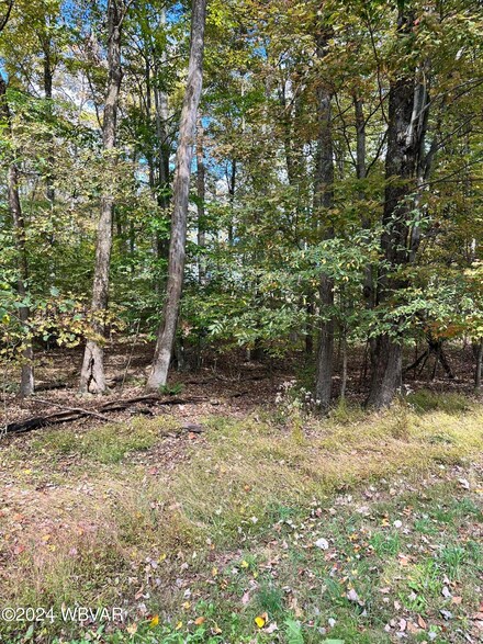 LOT #41 Lakeside Dr, Penn Township, PA 17758