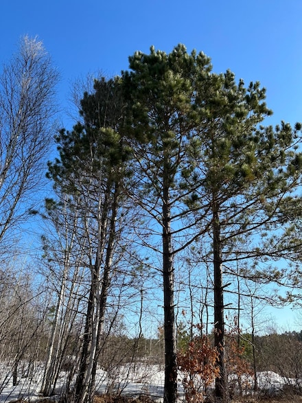 ON Spring Creek Dr Unit 4080-3, Tomahawk, WI 54487