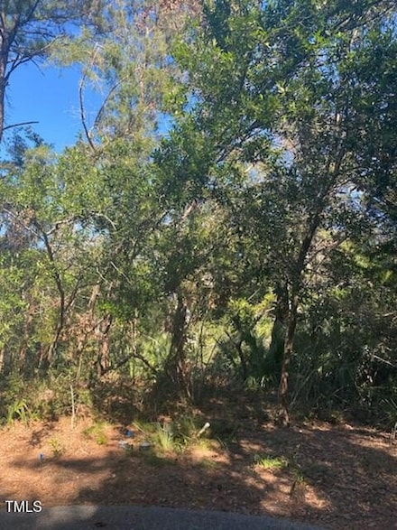 9 Laurel Cherry Ct, Bald Head Island, NC 28461