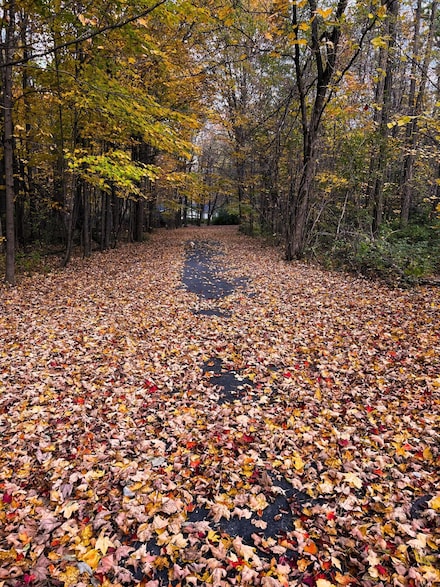 864 O'Neil Rd, West Chazy, NY 12992