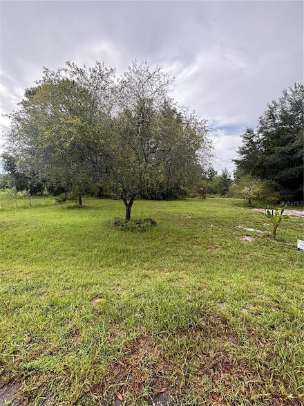 TBD Sequoia Drive Ct, Ocklawaha, FL 32179