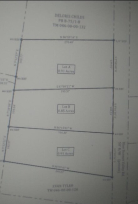 12 A Blue Bonnet Valley, Williston, SC 29853
