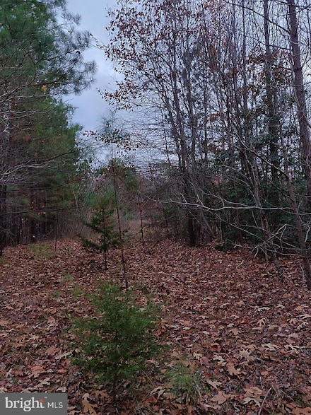 0 Us Route 1, Ruther Glen, VA 22546