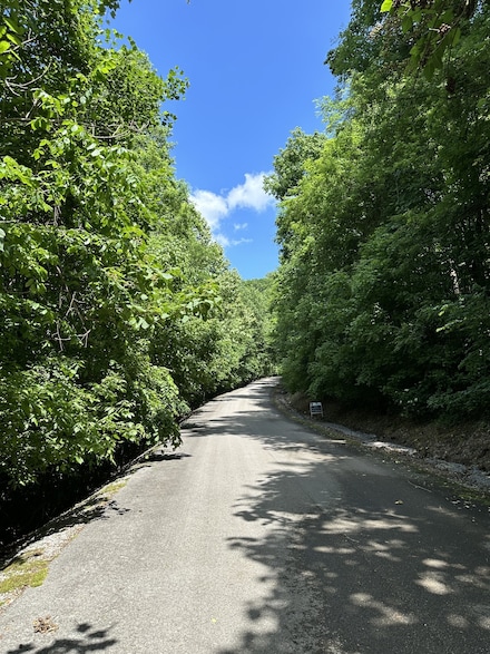 0 Shoreside Dr Unit RTC2775575, Smithville, TN 37166