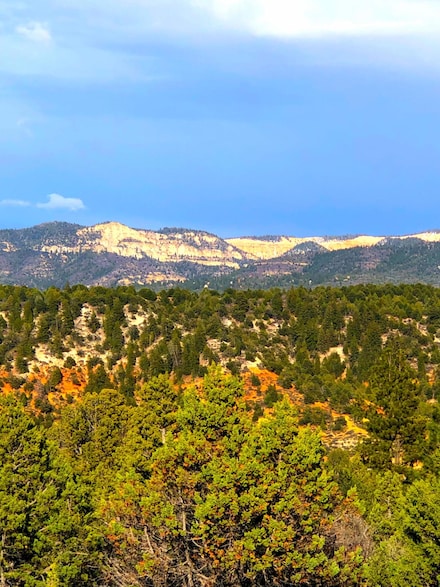 0 W Francis St, Duck Creek, UT 84762