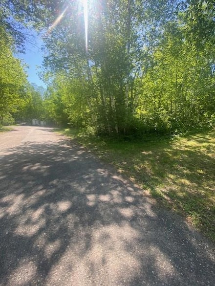 TBD Marion Dr SE, Bemidji Township, MN 56601