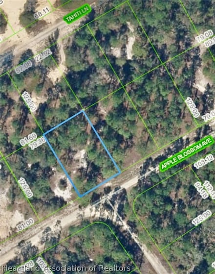 406 Apple Blossom Ave, Lake Placid, FL 33852