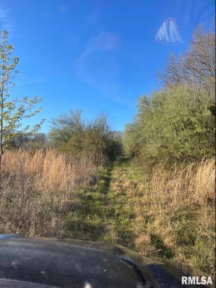 000 Izaac Walton Rd, Benton, IL 62812