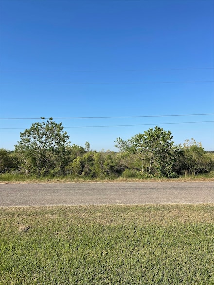 LOT 202 Cr 299 Heron St, Sargent, TX 77414