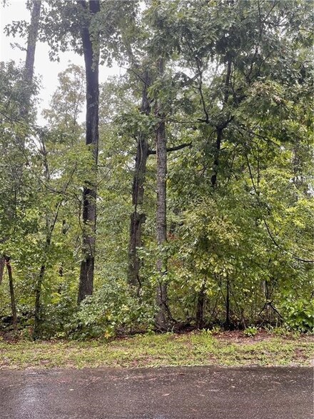Lot 6 Block 2 Dregg Ln, Bella Vista, AR 72714