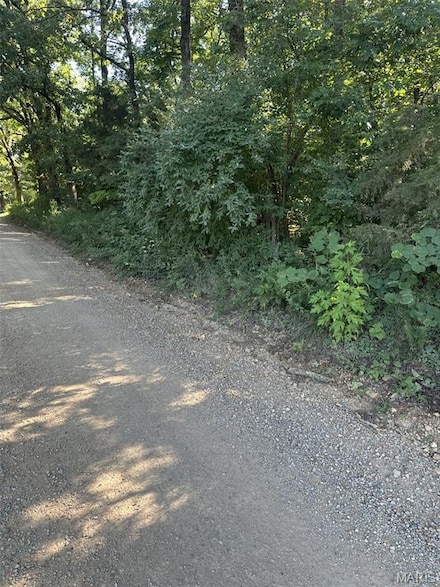 4 Ripley 21-N, Doniphan, MO 63935