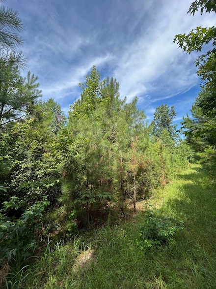 00 Columbia Road 444, Stephens, AR 71764