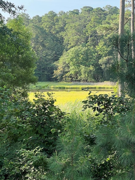 Lot 75 Olde Mill Ln Unit 75, New Church, VA 23415
