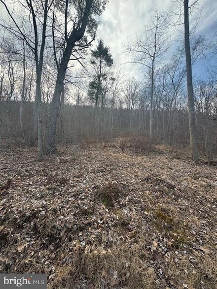 1403 Paxton Dr, Dalmatia, PA 17017