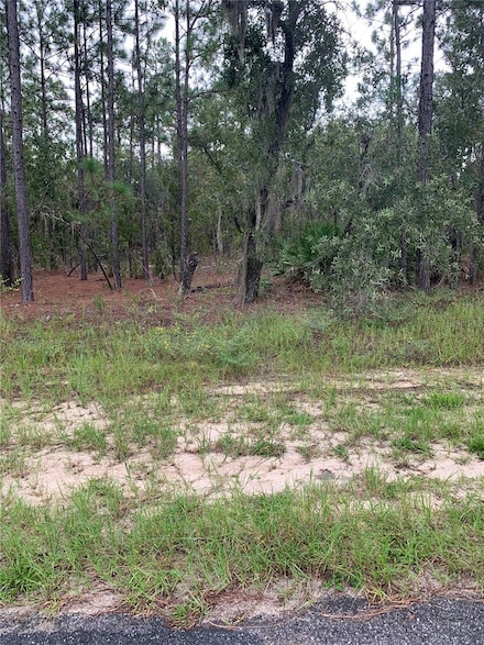 2810 W Xenox Dr, Citrus Springs, FL 34433