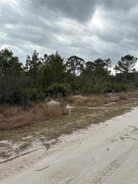 413 Darter Ave, Sebring, FL 33872