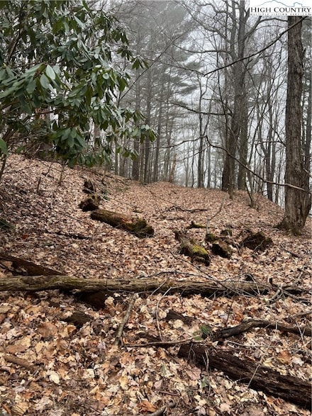 TBD Walter Godbey Rd, West Jefferson, NC 28694