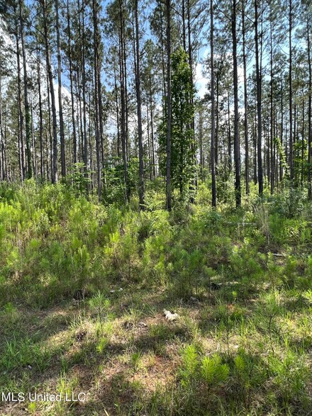 0 Coal Bluff Rd Unit 4050214, Lena, MS 39094