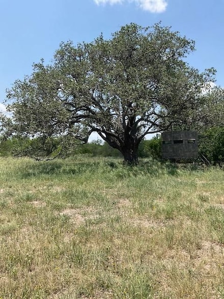 County Road 119, Pettus, TX 78146