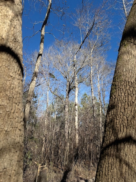 0 Canetuck Rd, Canetuck, NC 28435