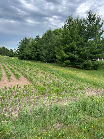 2186 132nd St, Star Prairie, WI 54017