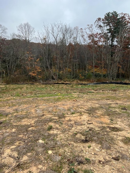 209 Holly Ln, Fancy Gap, VA 24328