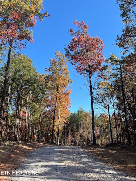 107 Cherokee Path, Tellico Plains, TN 37385