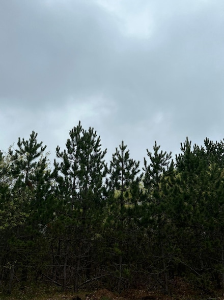 ON Cth Y, Tomahawk, WI 54487