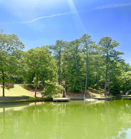 211 Delilah Ln, Eclectic, AL 36024