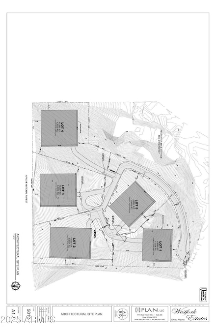 12 E County Road N1101 -- Unit 1, Greer, AZ 85927