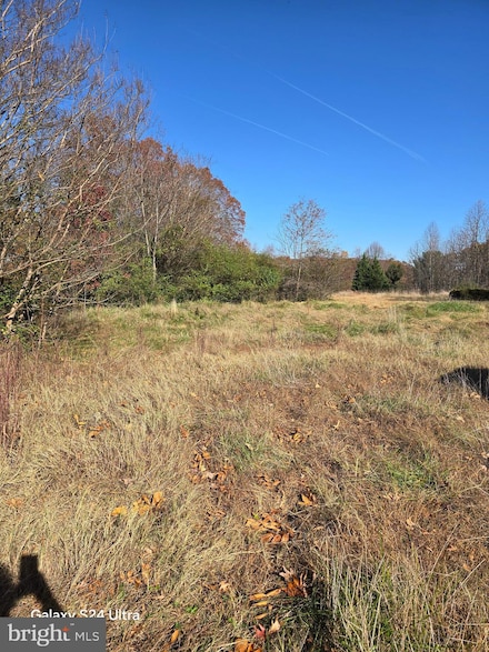 1715 William St, Fredericksburg, VA 22401