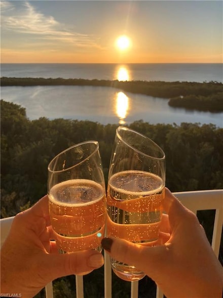 6849 Grenadier Blvd Unit 1803, Naples, FL 34108