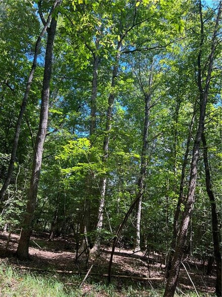000 Wind Ridge Ln, Dobson, NC 27017