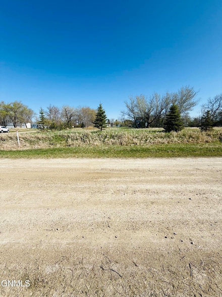 Tbd Lincoln Ave Wells St St, Pingree, ND 58476