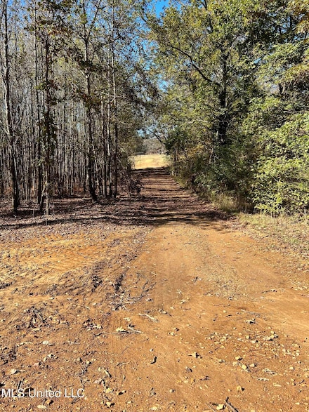 5123 U S Highway 51, Hernando, MS 38632
