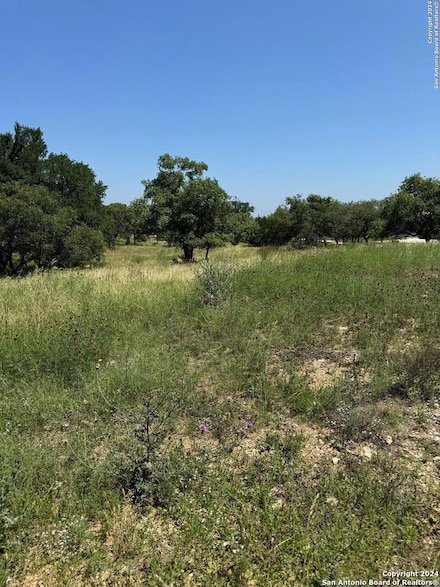 4602 Fm 1107 Tract 1, Stockdale, TX 78160
